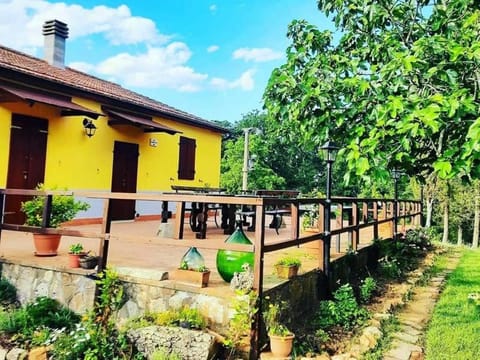 Facade/entrance, Garden, Balcony/Terrace, Balcony/Terrace