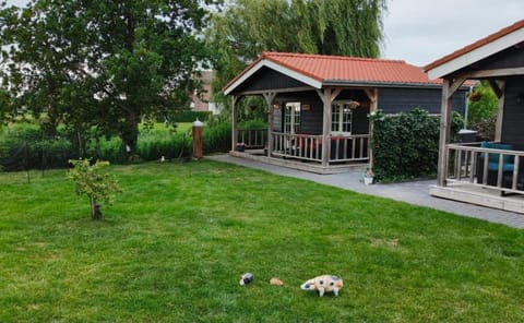 Spring, Garden, Garden view