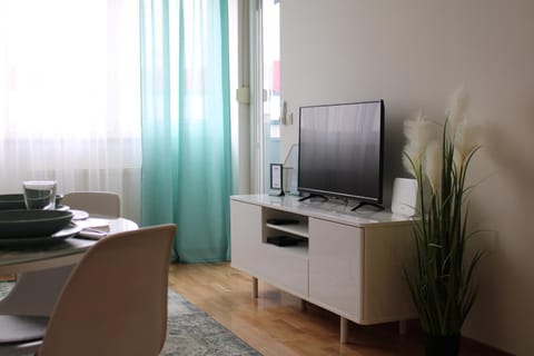 TV and multimedia