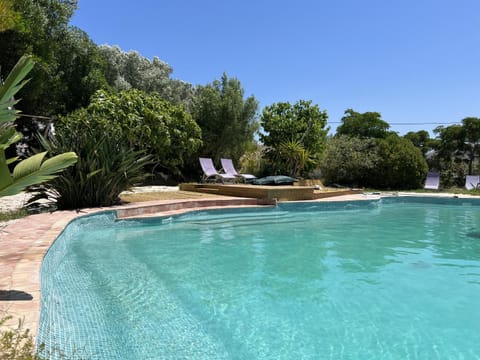 Day, Natural landscape, Garden, Pool view, Swimming pool, Swimming pool, sunbed
