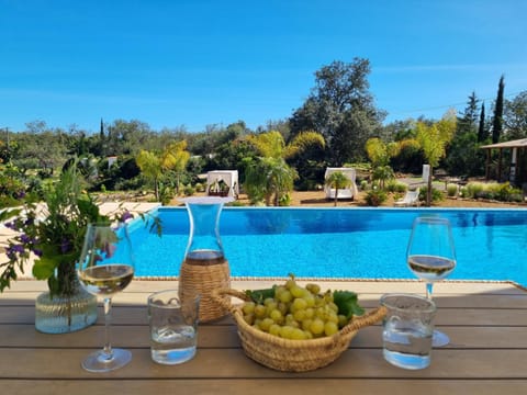 Food and drinks, Pool view, Swimming pool, sunbed