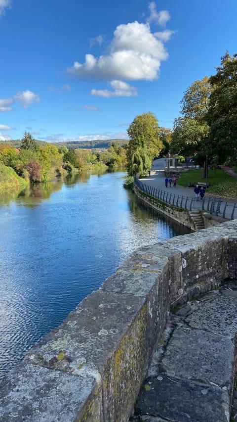 Natural landscape, River view
