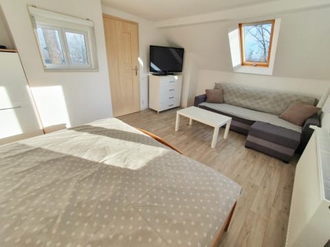Living room, Photo of the whole room, Bedroom