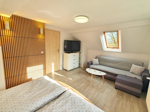 Bed, Living room, Photo of the whole room, Bedroom