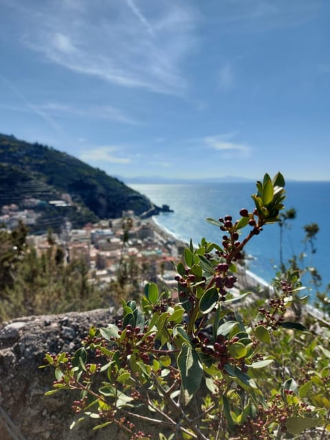 Natural landscape, Sea view