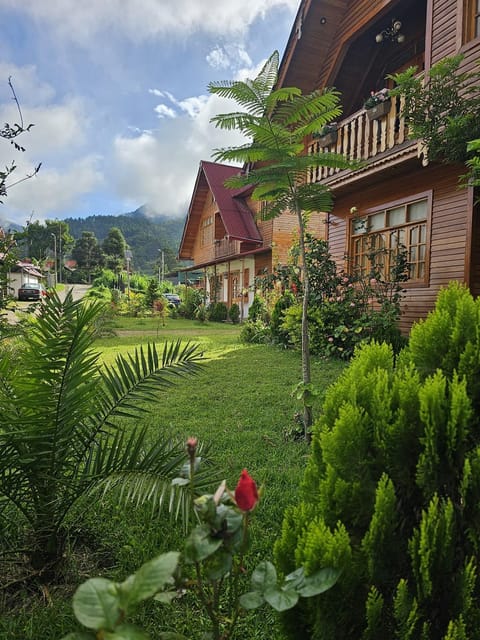 Spring, Day, Natural landscape, Garden, Garden view, Mountain view