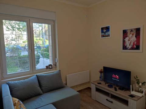 TV and multimedia, Living room