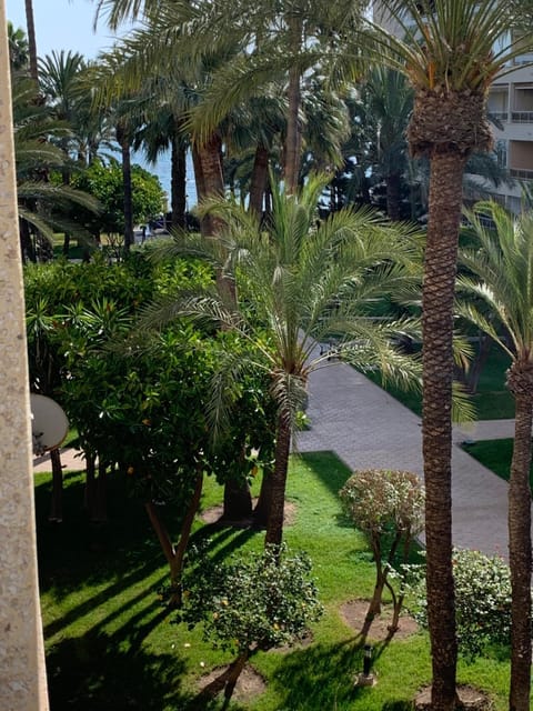 Garden view