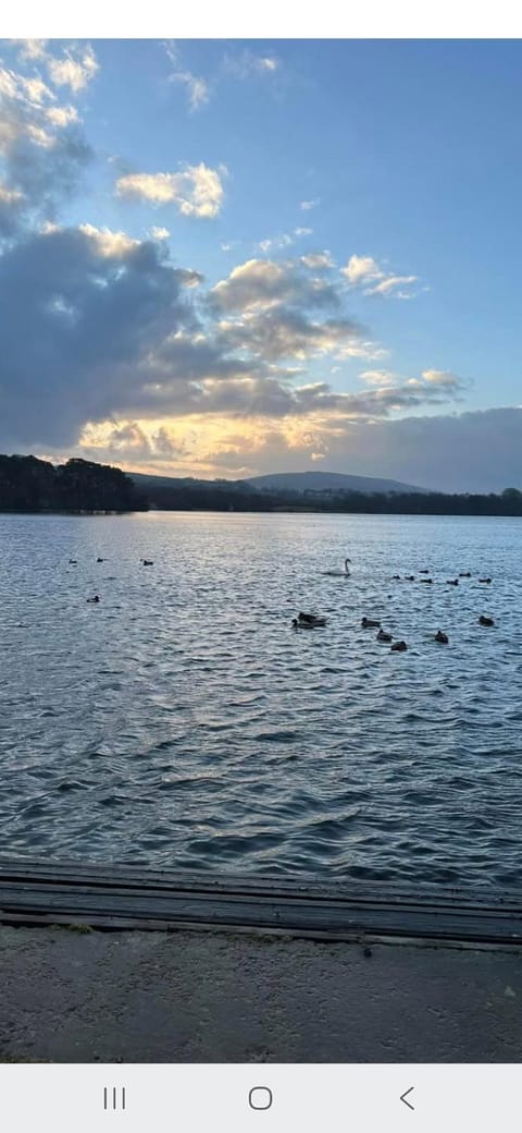 Tarnside Cottages Apartment in Brampton