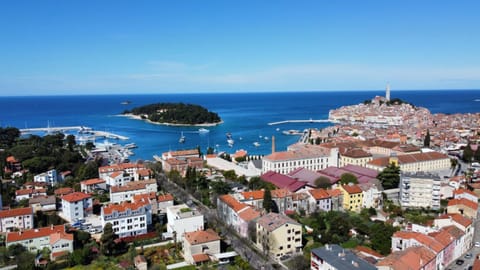Bird's eye view, City view, Sea view, Street view