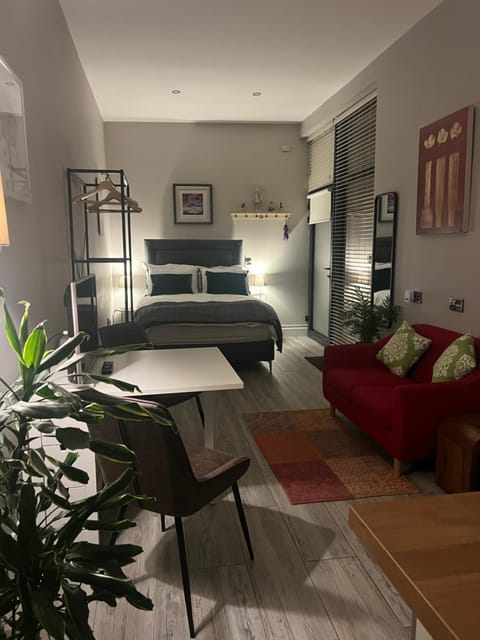 Hugo Mews Bright Studio Apartment Apartment in County Dublin