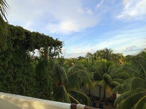 Day, Natural landscape