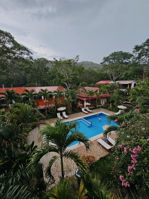 Garden, Swimming pool, sunbed