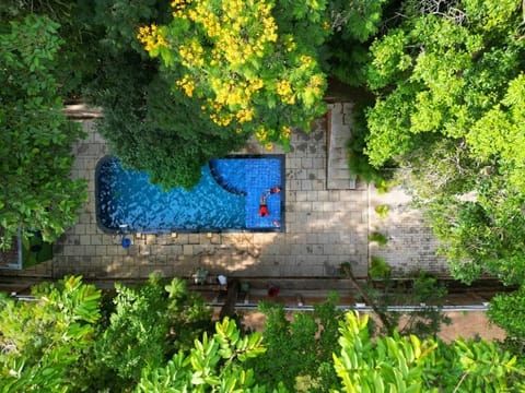 Pool view, Swimming pool