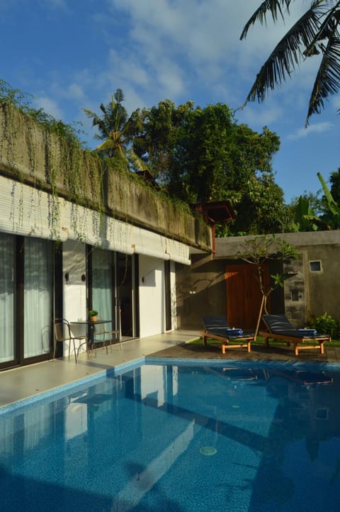 Property building, Day, Pool view, Swimming pool, sunbed