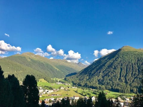 Chalet Bellevue Apartment in Davos
