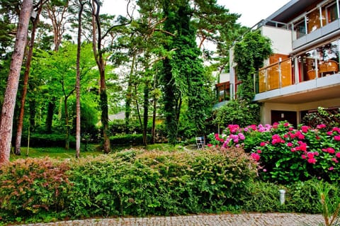 Property building, Garden