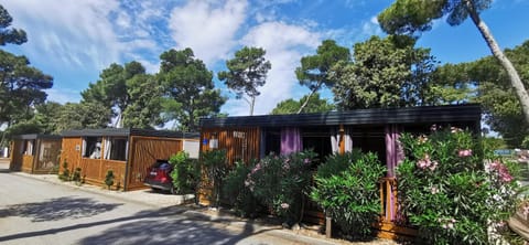 Mobile home Linico Campground/ 
RV Resort in Biograd na Moru