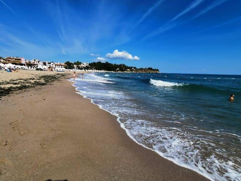 Natural landscape, Beach, Hiking