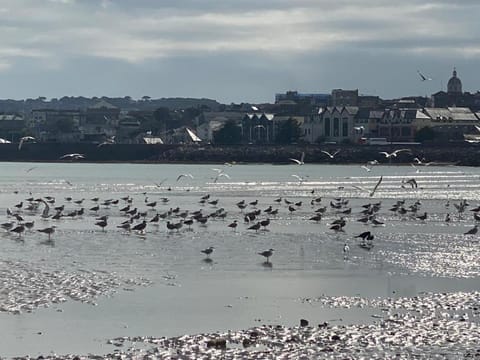 Neighbourhood, Beach
