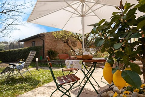 Patio, Garden, Garden view