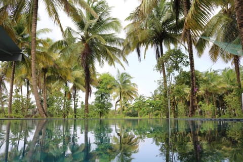 Natural landscape, Pool view, Swimming pool