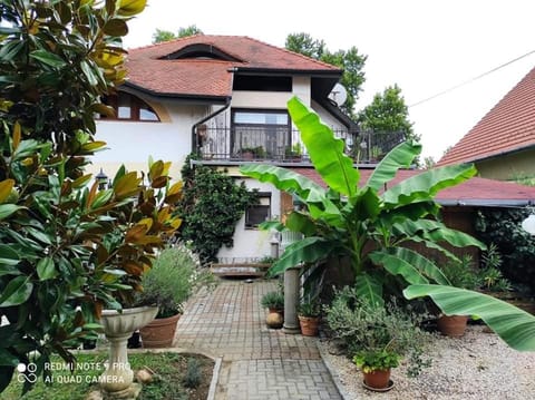Property building, Patio