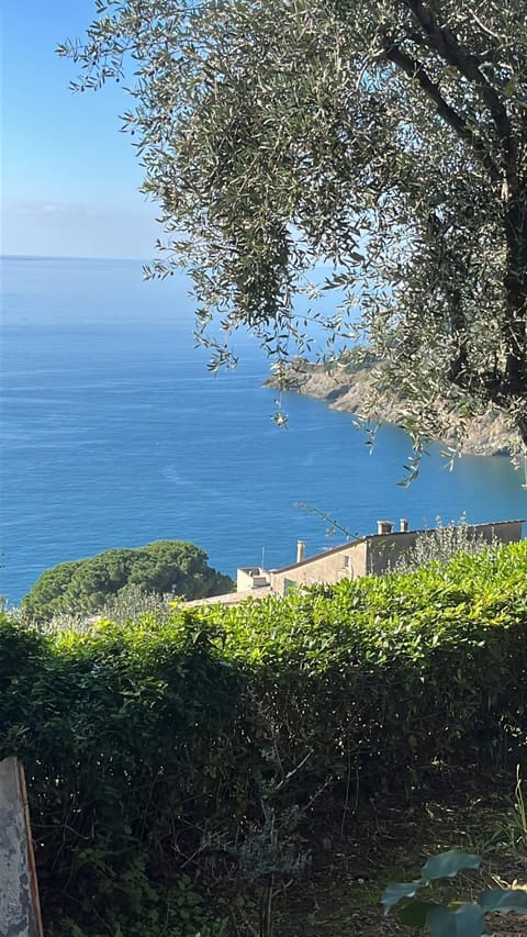 VILLA ROSA CON SPLENDIDA VISTA MARE Apartment in Bonassola