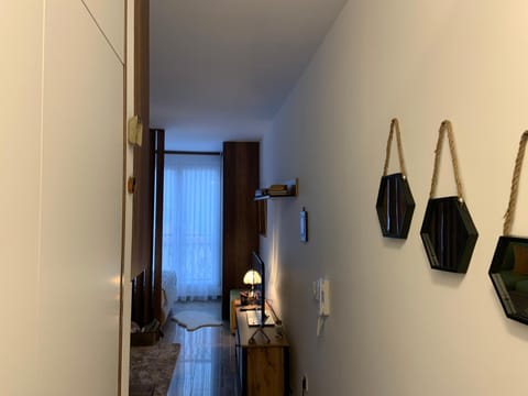 Apartment Aria Apartment in Federation of Bosnia and Herzegovina