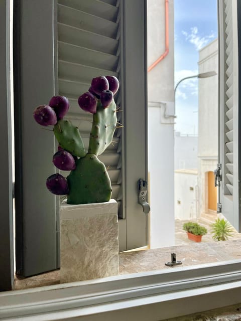 View (from property/room), City view, hair dresser