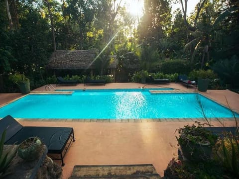 Swimming pool, Swimming pool