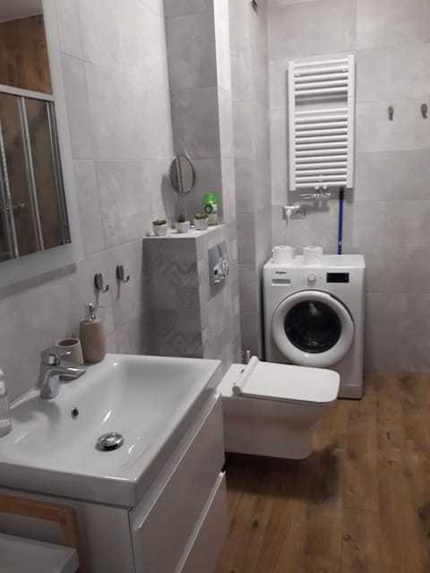 Toilet, Bathroom, washing machine