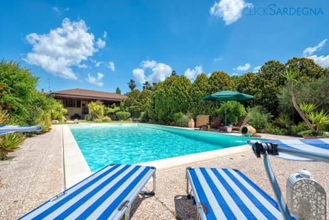 Garden view, Pool view, Swimming pool, sunbed
