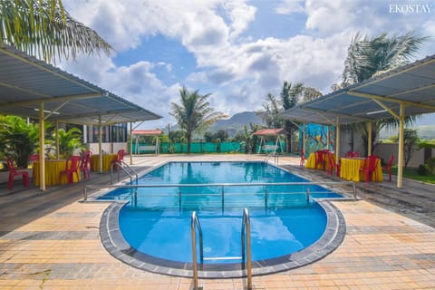 Day, Pool view, Swimming pool, sunbed