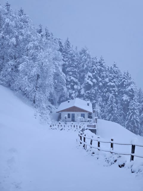 Alone in Chalet with view on Dolomites Apartment in Trentino-South Tyrol