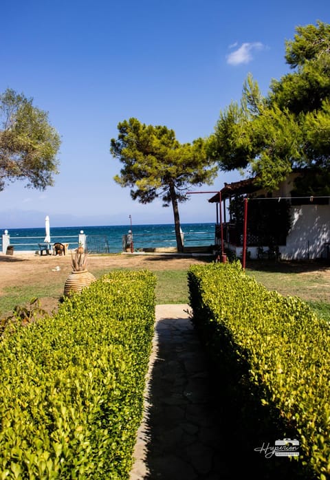 Garden, Garden, Sea view, Sea view