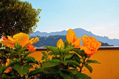 Villa Maria Bed and Breakfast in Amalfi