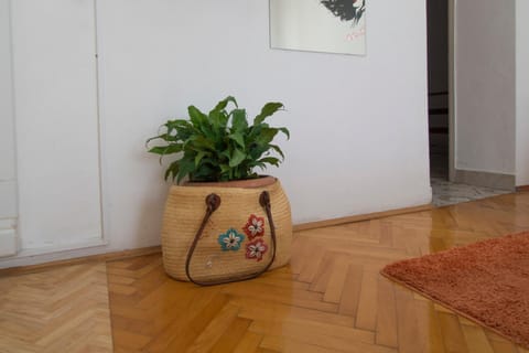 Studios Bačić Apartment in Dubrovnik-Neretva County