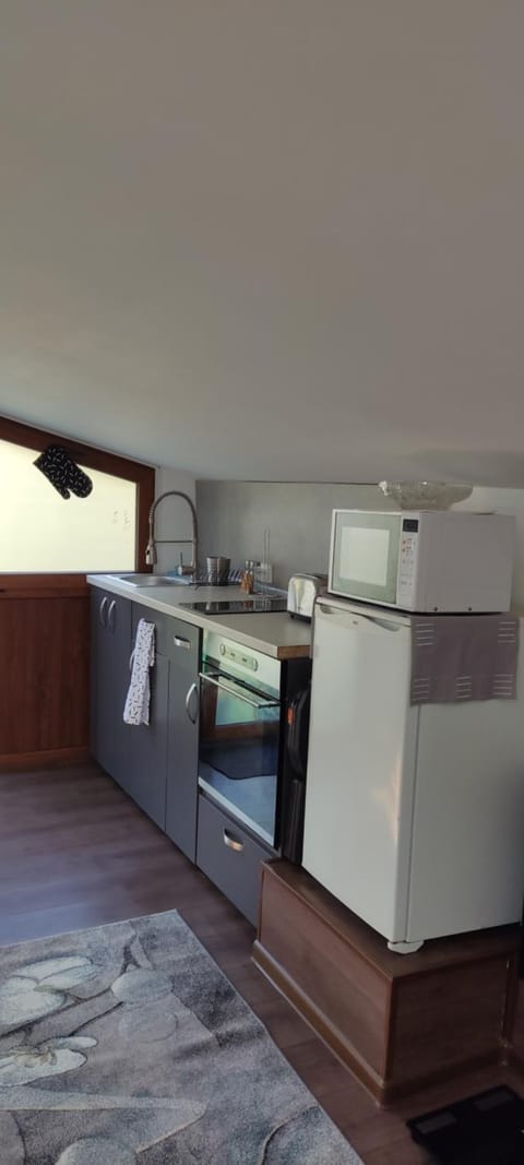 Kitchen or kitchenette, minibar, pet friendly