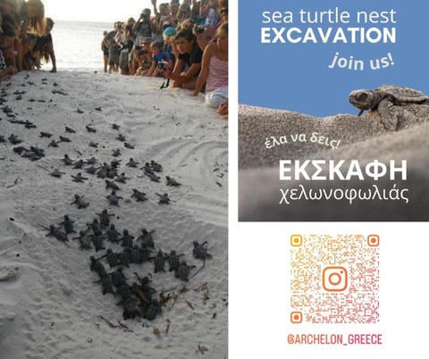 Panorea's Stone House House in Messenia