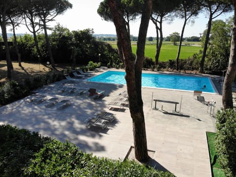 Pool view, Swimming pool, sunbed