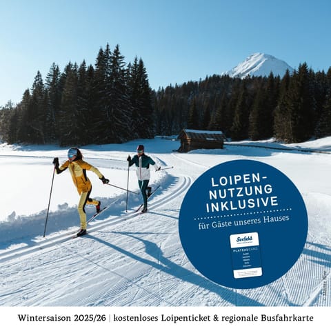 Appartements Wolf Apartment in Tyrol