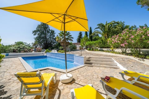 Patio, Spring, Garden, Guests, Guests, Garden view, Pool view, Swimming pool, group of guests, sunbed