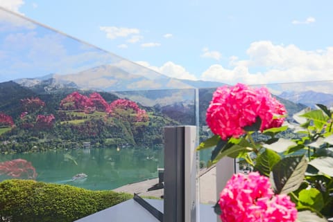 Balcony/Terrace, Decorative detail, Lake view