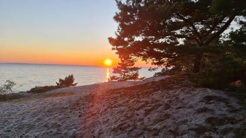 Przyczepy Camping Kormoran - Hel - Półwysep Helski Campground/ 
RV Resort in Pomeranian Voivodeship