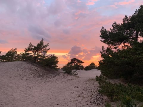 Przyczepy Camping Kormoran - Hel - Półwysep Helski Campground/ 
RV Resort in Pomeranian Voivodeship