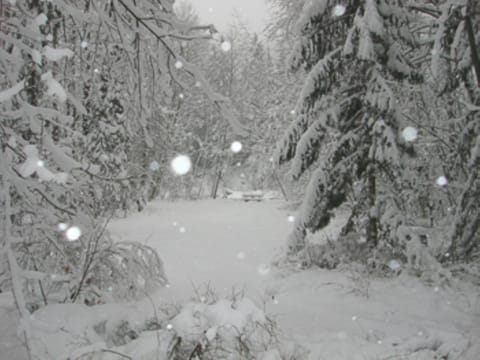 River Dance Retreat - Meredith Lodging House in Mount Hood Village