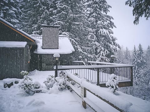 Crystal Creek Chalet - Meredith Lodging House in Welches