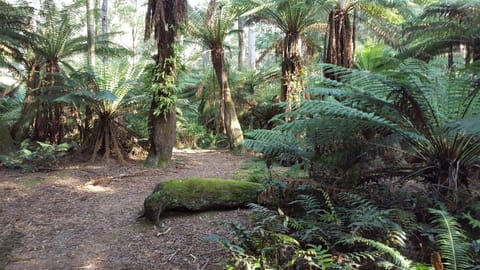 Natural landscape, Hiking, Hiking