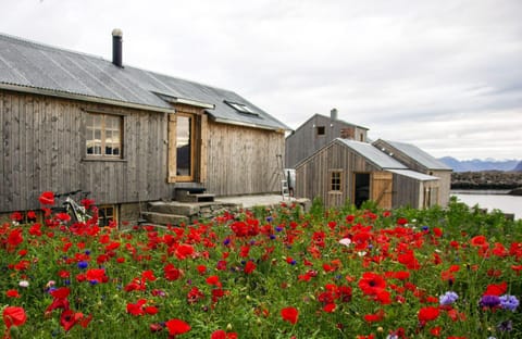 Villa Lofoten - Fisherman's cabin Cabin in Lofoten